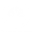 Sauder Academy